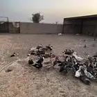 للبيع بط وأرانب مستعجل
