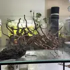 احواض سمك aquarium مزروعة  ونباتات مائية   تصاميم إحترافية