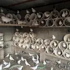 حمام