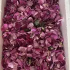 ورد طائفي