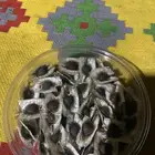 للبيع بذر مورنقا