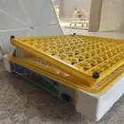 فقاسة بيض 98