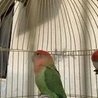 روز للبيع خلال (24 ساع)