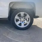 جنوط سلفرادوا
