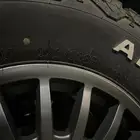 جنوط برايد