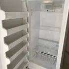 فريز امريكي