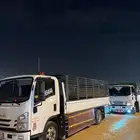 دينه دينا جامبو الرياض