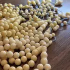 توفر دومنه عرض خاص 119 شامل شحن