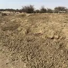 سماد للبيع