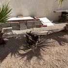 فروخ دجاج بلدي