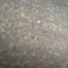 مطلوب قعود فحل كفو كفو اوضح