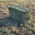 بلوبنك ناعم شرط موقعه الخوير