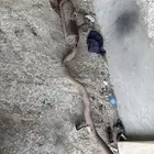 شكمان دبه .دبة ربع.