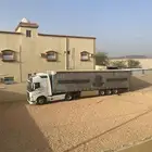 تيدر ستاره جاهز