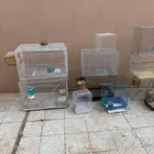 شبوك طيور زينه مستلزمات حمام