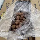 تمور تمر خلاص حساء فاخر السليل الرياض ودي الدواسر