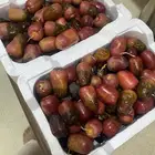 تمر