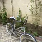 سيكل فراشة مقاس 24