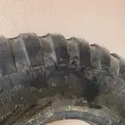 كفرات لوري جديده بشعرها