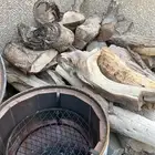 برميل مندي