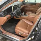 لكزس شورت امريكي