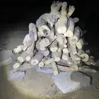 سمر. جلال