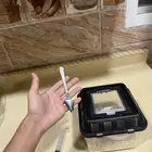 فروخ روز البينو عيون حمرا