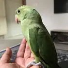 حي العزيزية الدمام