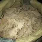 خبز خيشه