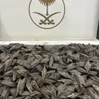 عود التايقر الفيتنامي