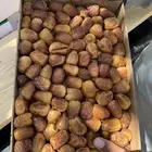 تمر سكري رطب