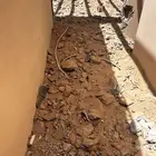 تكسير عماير ترميم المدينه المنوره