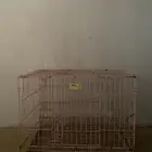 بيت قطط قفص قط بساس