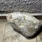 حجر
