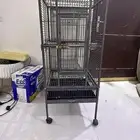 للبيع قفص كاسكو