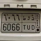 لوحه دوط 6066
