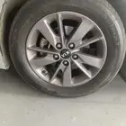 جنوط اوبتيما