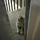 حي النهضه بالخرج