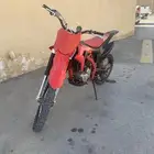 دباب صحراوي مهدي