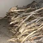 حطب سمر الموقع بيشه مستورد