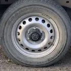 جنوط سلقه