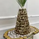 تمر محشي الرياض