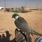 بكه او جليميه