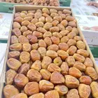 رطب سكري ملكي الإنتاج اليومي البيع على اعلى سوم