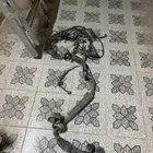ضفيرة انفنيتي