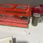 برمائي كبير ويا الأكل بدون حوض