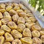 تمر سكري انتاج السنه
