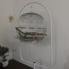 قفص مع قاعده