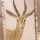 رسمة غزال واقعية