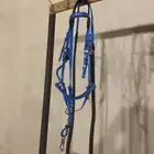 لجام تحمل ستيتوس